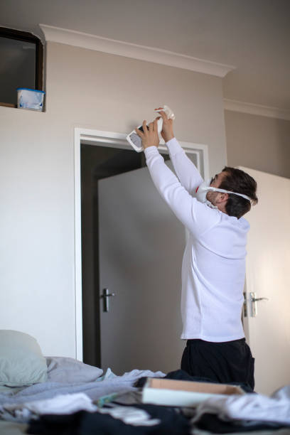 Best Commercial Mold Inspection  in Elmont, NY
