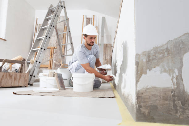 Mold Remediation for Rental Properties in Elmont, NY