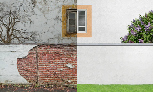Best Mold Removal for HVAC Installations  in Elmont, NY